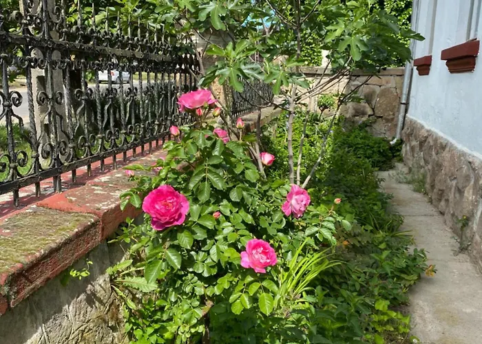 Kanya Veranda Appartement *